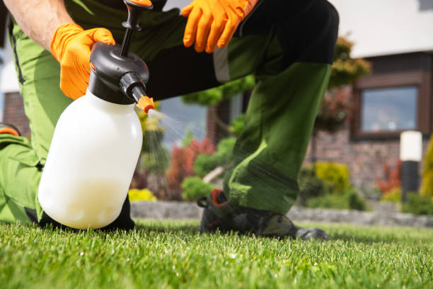 Best Pest Control for Homes  in Sherwood, OH