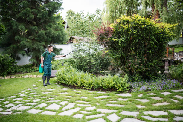 Best Residential Pest Control  in Sherwood, OH