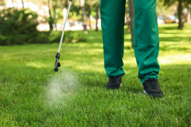 Best Affordable Pest Control Services  in Sherwood, OH