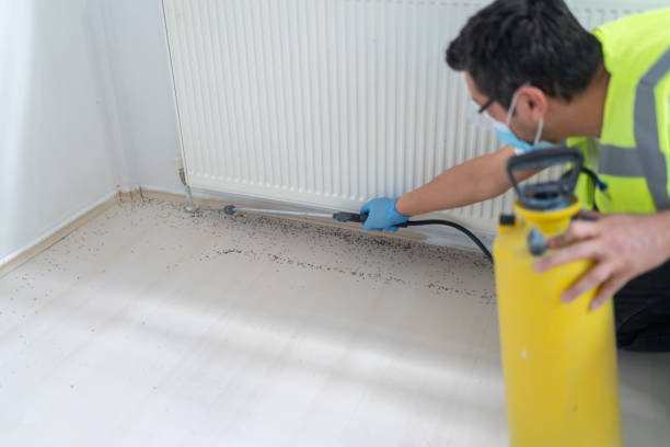 Pest Control for Restaurants in Sherwood, OH